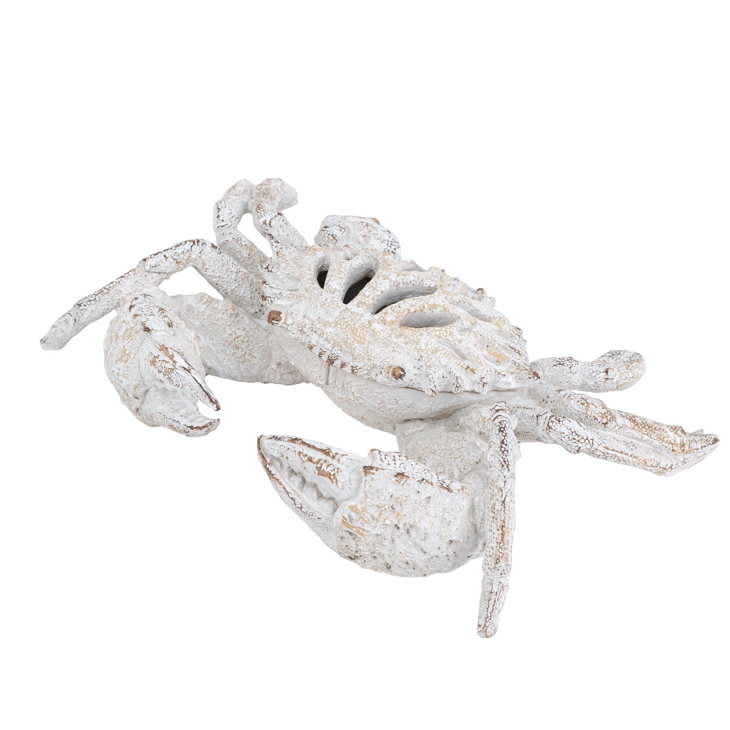 White Coral Crab