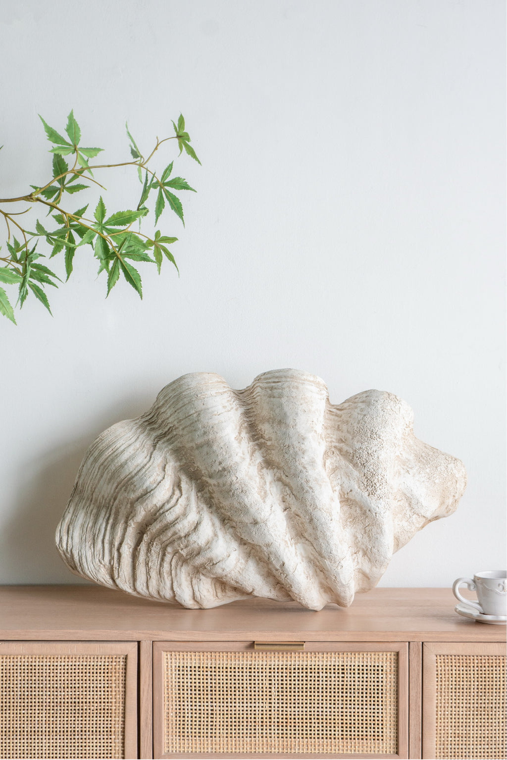Clam Shell