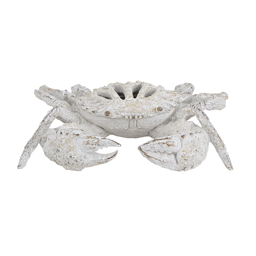 White Coral Crab