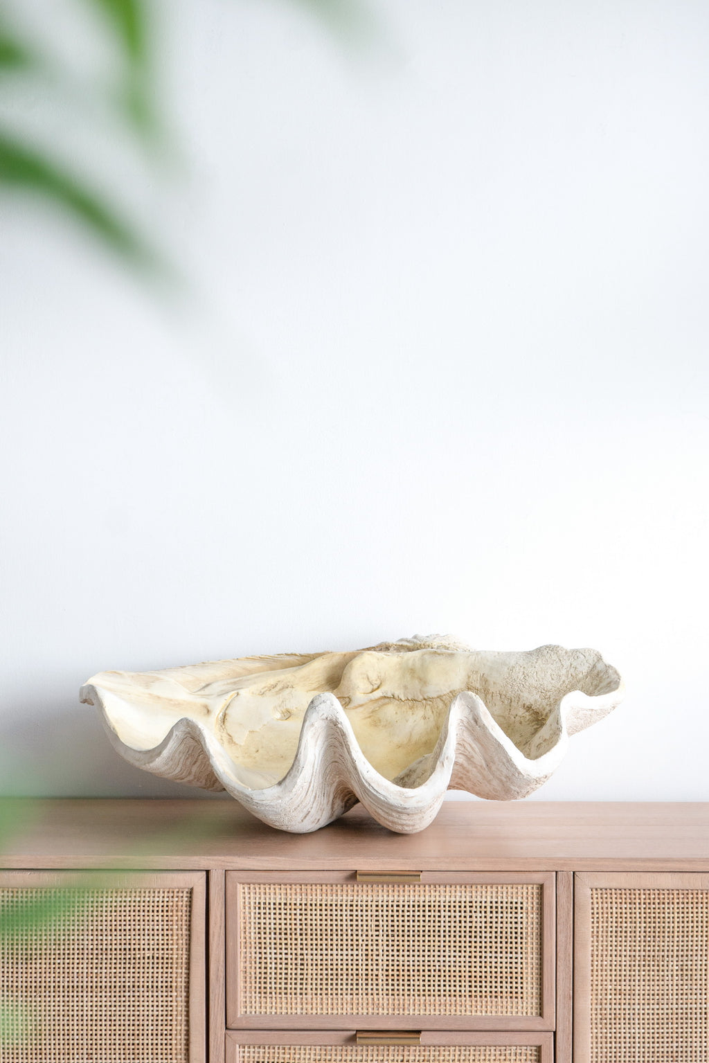 Clam Shell
