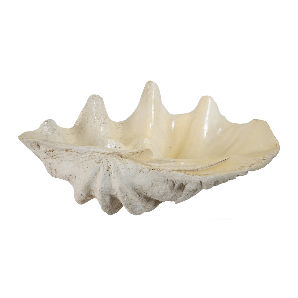 Clam Shell