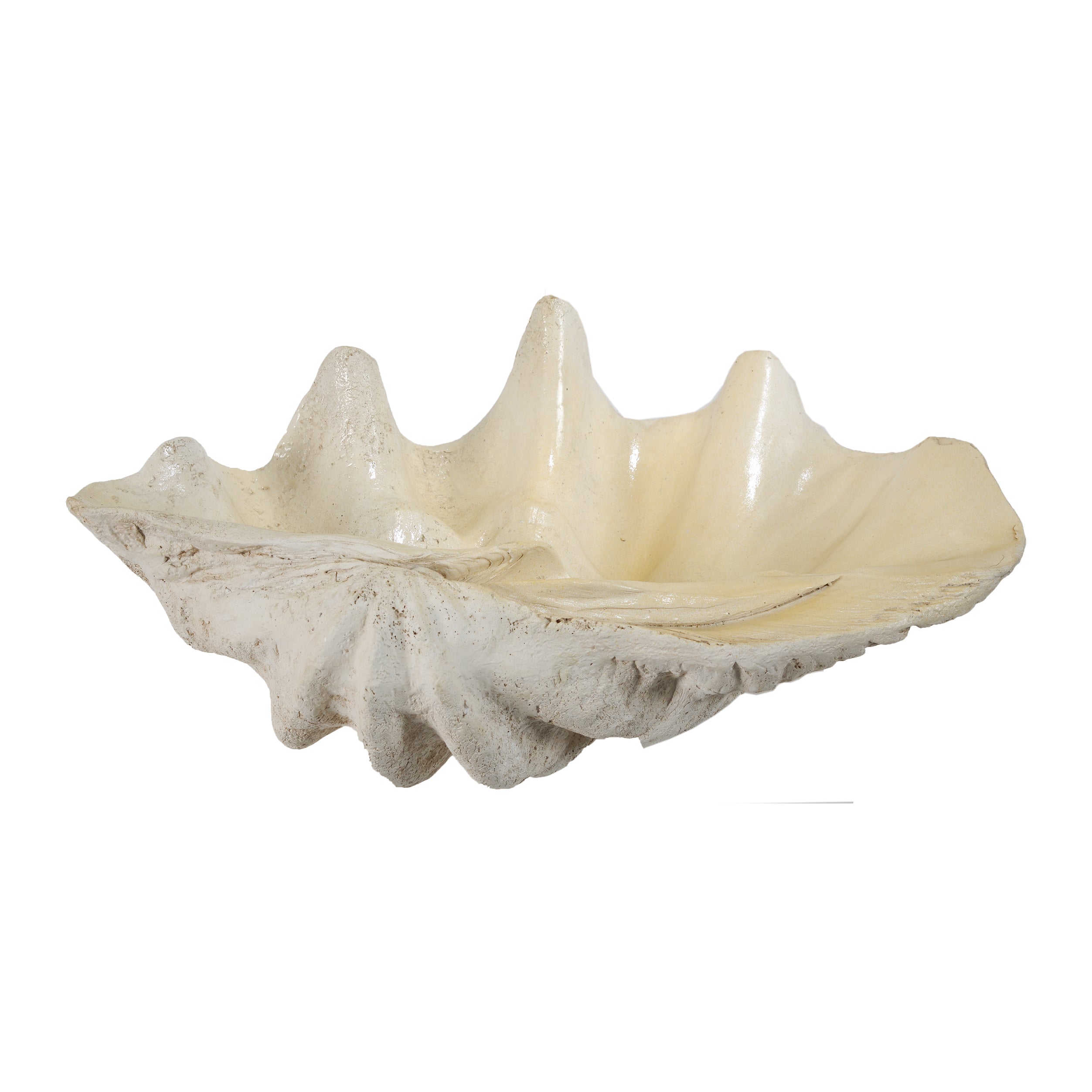 Clam Shell