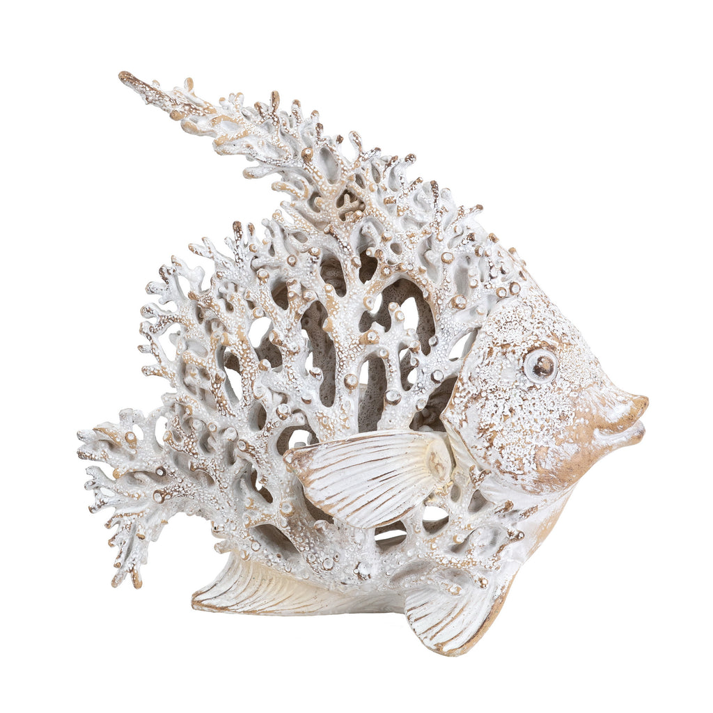 White Coral Angelfish