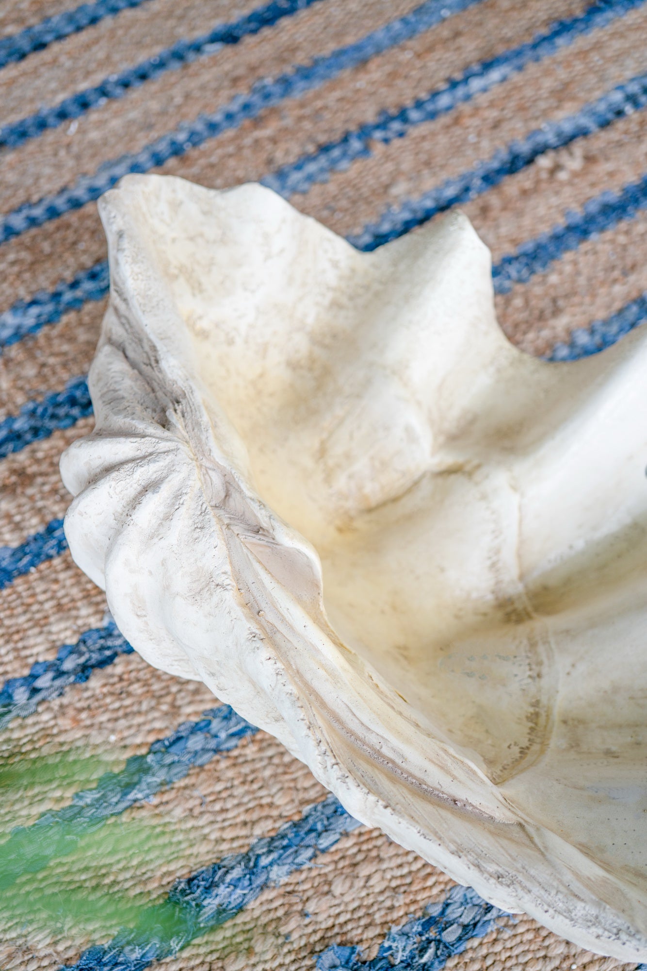 Clam Shell