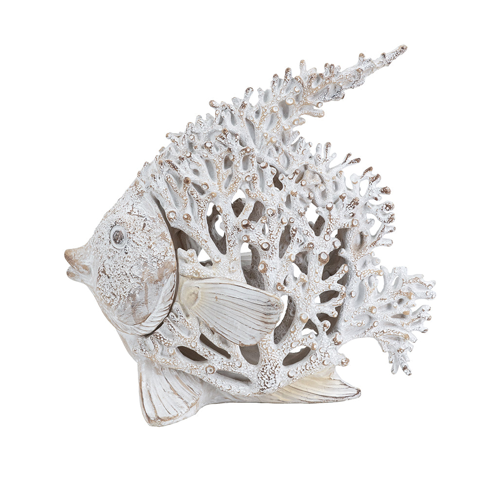 White Coral Angelfish