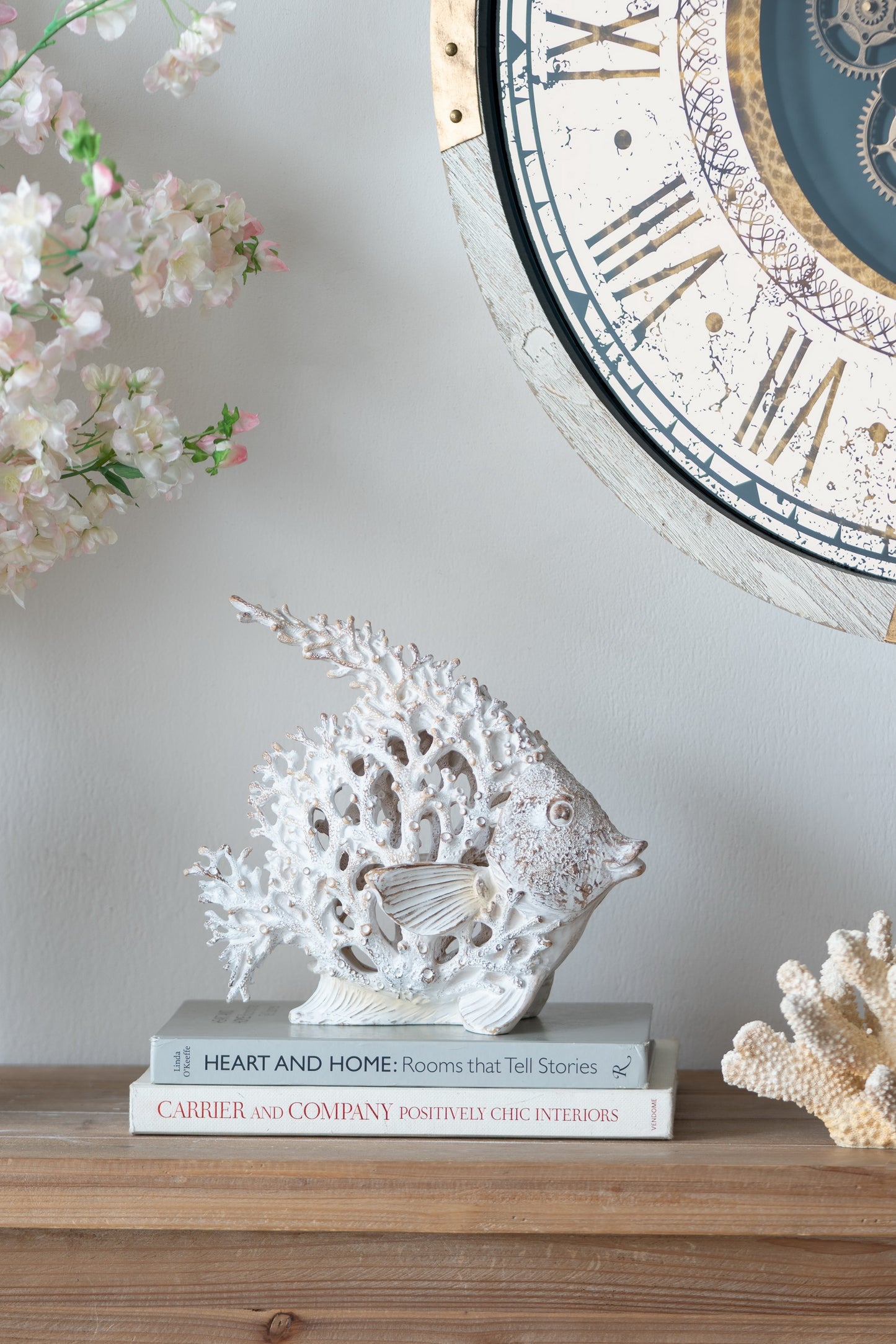 White Coral Angelfish